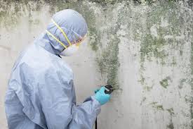 Best Air Quality Testing for Mold Spores  in Park Forest, IL